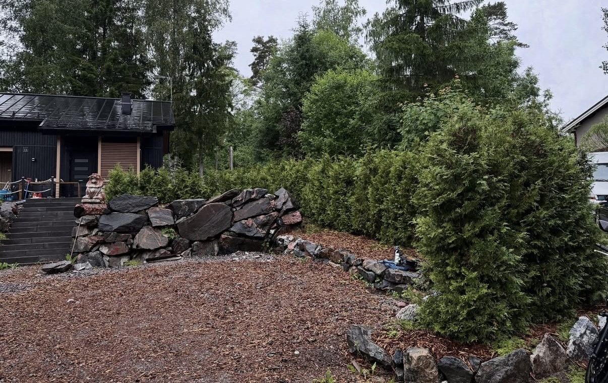 Valmis tuija-aita kivimuurin yhteydessä