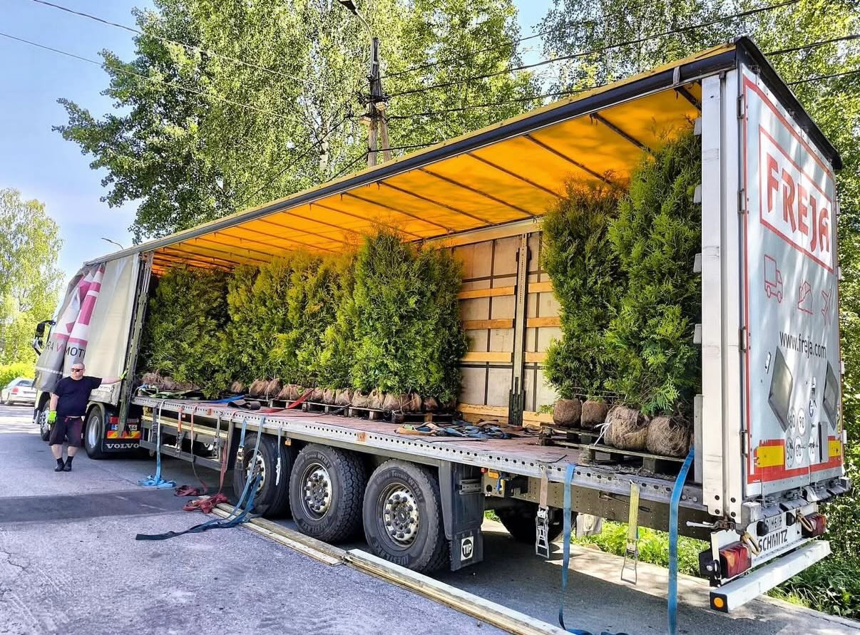 Viherkaistan tuijatoimitus matkalla asiakkaalle